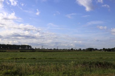 Hollanda 'nın Moordrecht kentindeki Zuidplaspolder' ın gelecekteki beşinci köyünde çiftlikleri olan otlaklar.