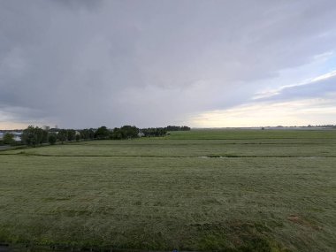 Hollanda 'daki Eerste Tochtweg boyunca Nieuwerkerk aan den IJssel' deki Zuidplaspolder çayırları