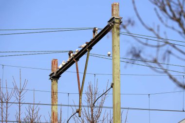 Hollanda 'daki Nieuwerkerk' e bağlı olan tren hattının üzerindeki paslı kiriş