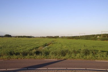 Moordrecht 'te Zuidplaspold' un su seviyesinin artık korunamadığı alçak bozkırın bir parçası.