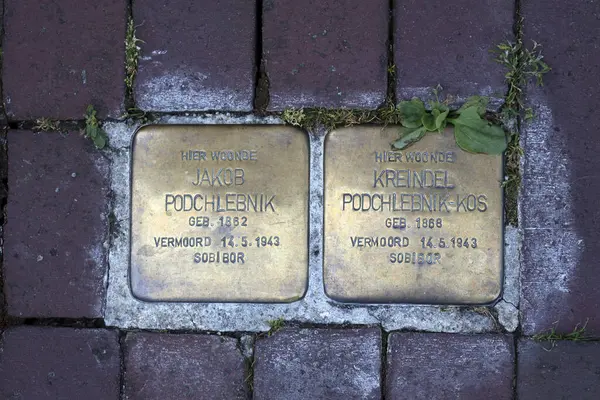 Dünya Savaşı sırasında Hollanda 'da Yahudilerin sınır dışı edildiği Zwolle caddesindeki Stolpersteine caddesi.