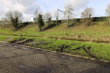 Hollanda 'daki bir POSTNL paket makinesi tarafından ezilmiş yol kenarı çimenleri