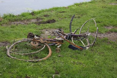 Hollanda 'daki halka kanalını taradıktan sonra su kenarında paslı bisikletler