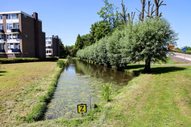 Hollanda 'da yeni bir bisiklet yolu için yıkılmadan önce Nieuwerkerk aan den IJssel' deki hendek ve ağaçlar