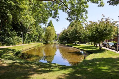 Hollanda 'da yeni bir bisiklet yolu için yıkılmadan önce Nieuwerkerk aan den IJssel' deki hendek ve ağaçlar