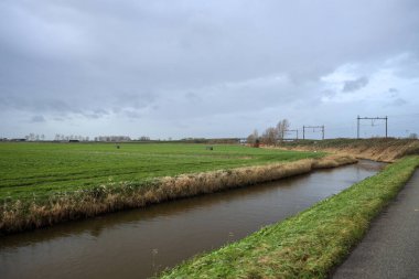 Moordrecht 'teki Zuidplaspolder' daki çayırlar Zuidplas 'ta yeni ticari alan olarak kullanılmak üzere.