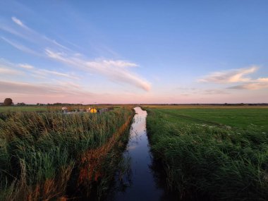 Hollanda 'daki sulama kanalında Zuidplaspold' un çayırlarında gün batımı