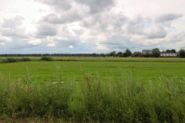 Hollanda 'nın Zuidplaspolder kentindeki Zuidplas belediyesi tarafından inşa edilecek yeni köyün bulunduğu çayırlar.