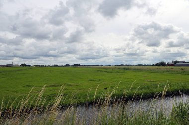 Hollanda 'nın Zuidplaspolder kentindeki Zuidplas belediyesi tarafından inşa edilecek yeni köyün bulunduğu çayırlar.
