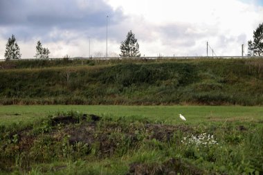 Area in Moordrecht where research to widen the A20 freeway has found old World War II plane bombs type MC500 mk1 clipart