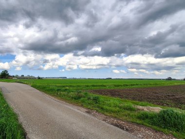 Hollanda 'da Zuidplaspolder' da küçük bir köy yolu