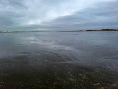 Kuzey Denizi kıyısında Hoek van Holland 'da bulutlu gökyüzü ve Hollanda kıyılarında alçak gelgitle