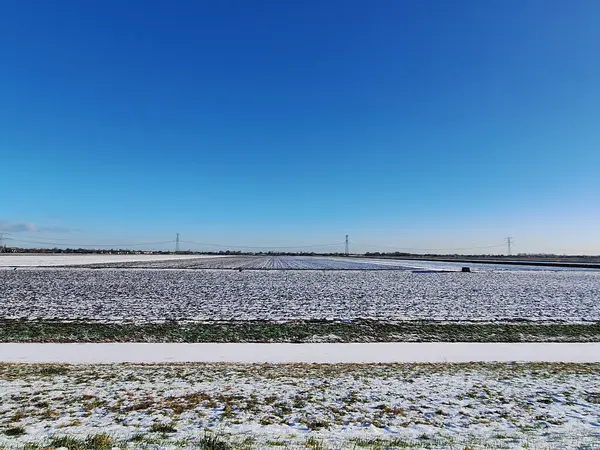 Hollanda Rotterdam yakınlarındaki Zevenhuizen ve Eendrigtspoler kürek tesisinde kar ve buz