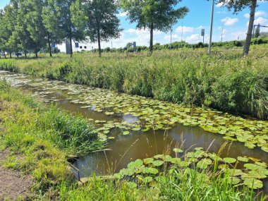 Hollanda 'daki yol inşaatı sırasında Moordrecht' teki boş A20 otoyolu.