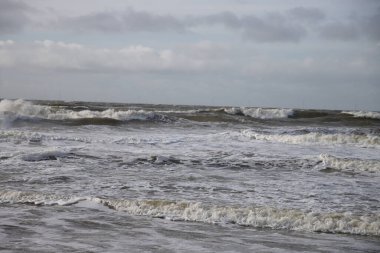 Hollanda 'daki Noordwijk sahilinde dalgalar ve kumsallar