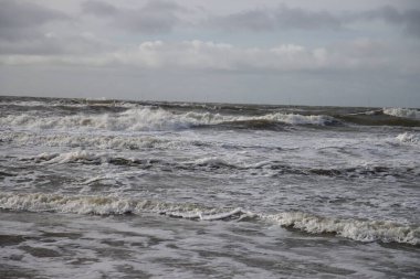 Hollanda 'daki Noordwijk sahilinde dalgalar ve kumsallar
