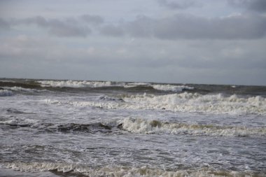 Hollanda 'daki Noordwijk sahilinde dalgalar ve kumsallar