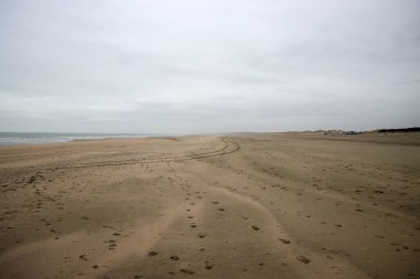 Hollanda 'daki Hoek van Holland Sahili' nde at izleri var.