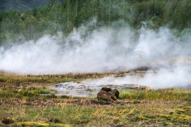 Bulutlu bir günde İzlanda 'da kaplıca dumanı