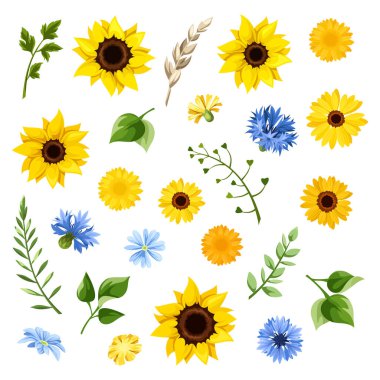 Mavi ve sarı ayçiçekleri, karahindiba çiçekleri, çiçek, gerbera çiçekleri, ve beyaz arka planda izole edilmiş yeşil yapraklar.