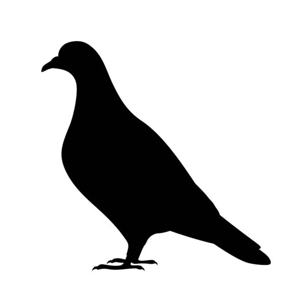 Pigeon Silhouette Isolated White Background Vector Black White Illustration — Stock Vector