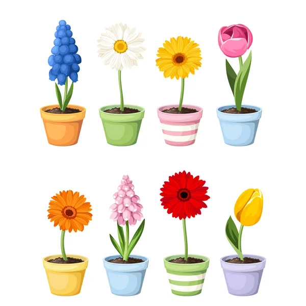 Flores Coloridas Primavera Vasos Isolados Fundo Branco Conjunto Ilustrações Vetoriais —  Vetores de Stock