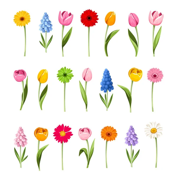 Bunte Frühlingsblumen Mit Vereinzelten Stielen Auf Weißem Hintergrund Reihe Von — Stockvektor