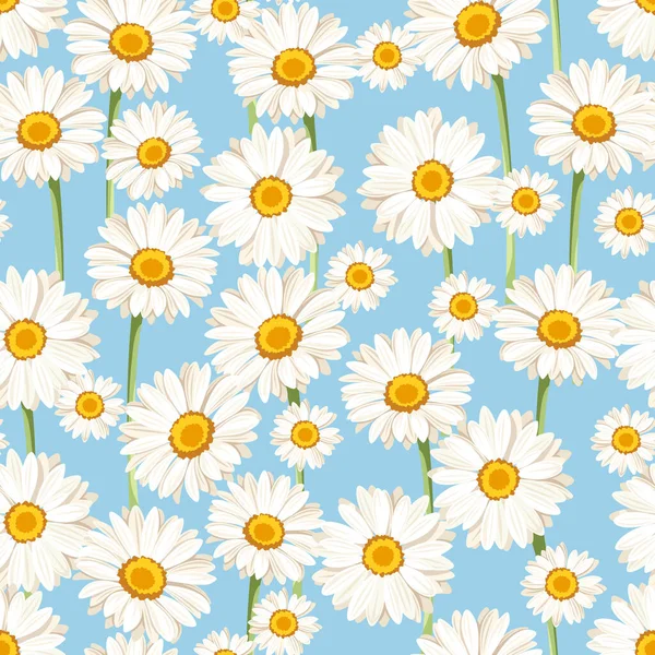 Padrão Sem Costura Com Flores Brancas Margarida Fundo Azul Ilustração — Vetor de Stock