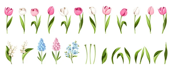 Tavaszi Virágok Levelek Halmaza Rózsaszín Kék Fehér Tulipánok Jácintvirágok Felejts — Stock Vector