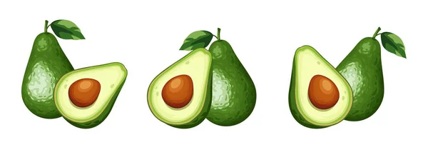 Set Van Avocado Fruit Geïsoleerd Een Witte Achtergrond Vectorillustratie — Stockvector