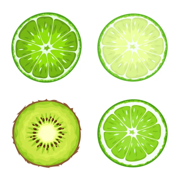 Kiwi Lime Fruit Slices Isolated White Background Vector Illustration — Stock Vector