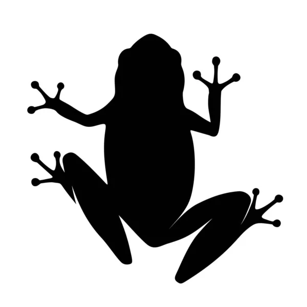 Schwarze Silhouette Eines Frosches Isoliert Auf Weißem Hintergrund Vektorillustration — Stockvektor