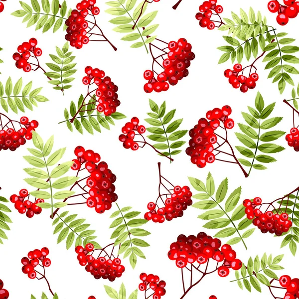 Autumn Seamless Pattern Rowan Branches Berries White Background Vector Illustration — Stock Vector