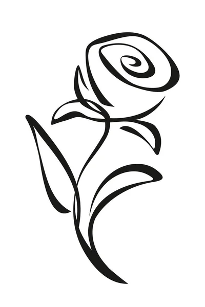 Rose Flower Stem Isolated White Background Black White Line Drawing — Stock Vector