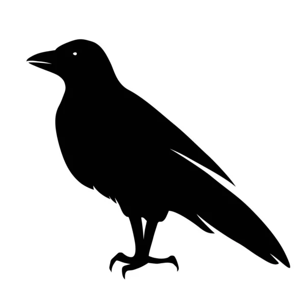Uccello Corvo Silhouette Nera Vettoriale Isolata Sfondo Bianco — Vettoriale Stock