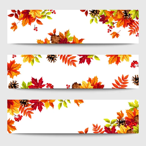 Webbanners Met Kleurrijke Herfstbladeren Dennenappels Rowanberries Vectorillustratie — Stockvector