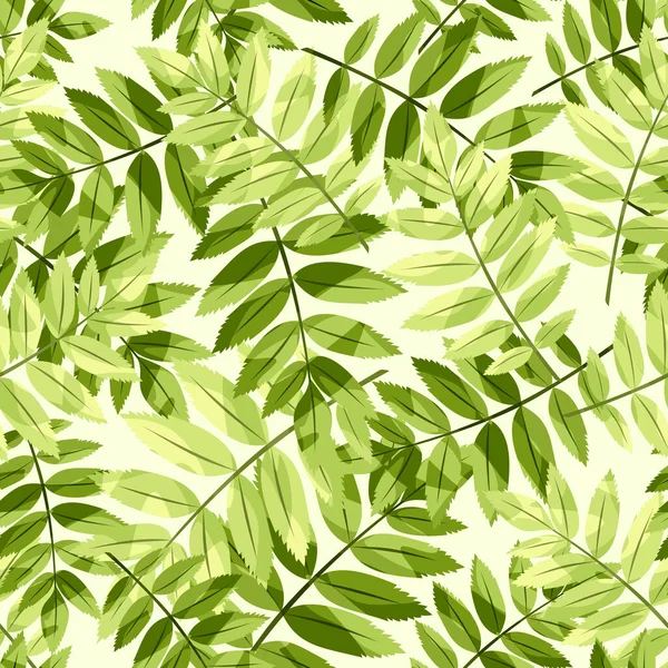 緑のローワンの葉を持つシームレスな花模様 ベクターイラスト — ストックベクタ