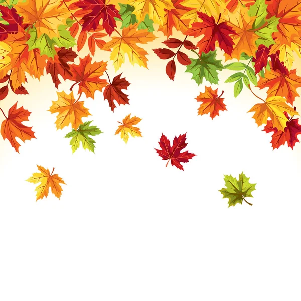 秋天落叶 背景为五彩缤纷的秋叶 问候卡或邀请卡的设计 矢量说明 — 图库矢量图片
