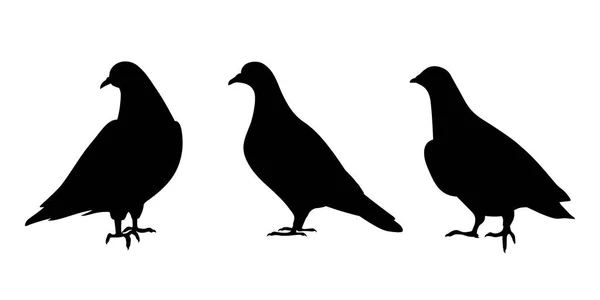 Pigeons Black Silhouettes Pigeon Birds Isolated White Background Set Vector — Stock Vector