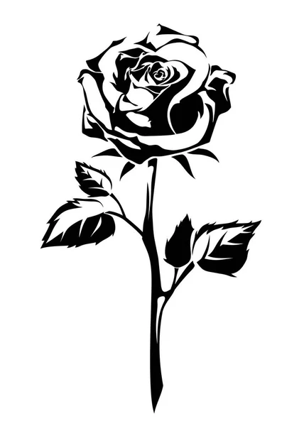 Rosenblüte Mit Einem Stiel Isoliert Auf Weißem Hintergrund Vektor Schwarze — Stockvektor