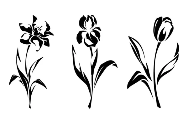 Narcissus Iris Och Tulpanblommor Set Med Svarta Silhuetter Blommor Isolerad — Stock vektor