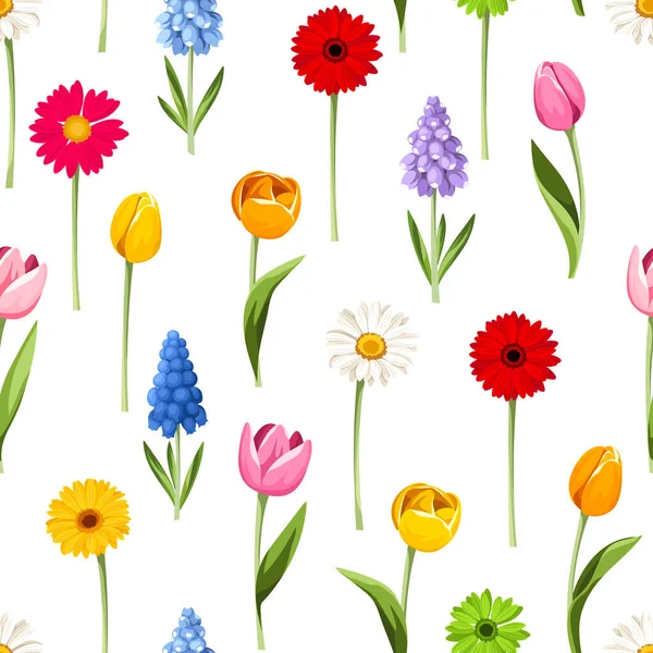 Motif Floral Sans Couture Avec Des Fleurs Printanières Colorées Sur — Image vectorielle