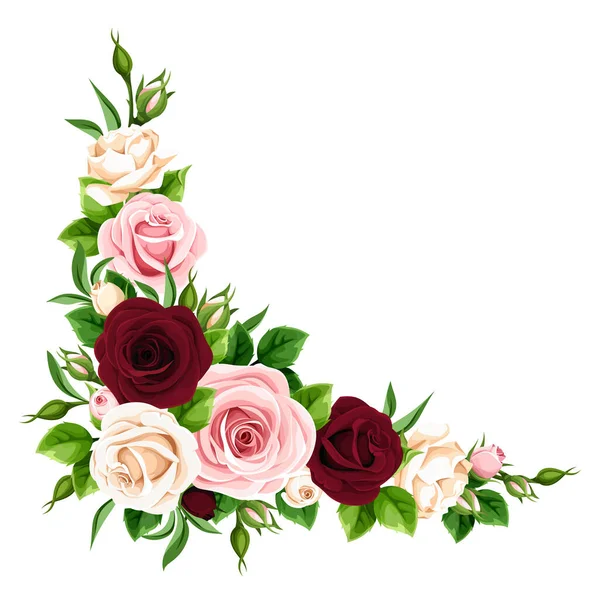 拐角处有粉色 勃艮第和白色的玫瑰花 背景为白色 — 图库矢量图片