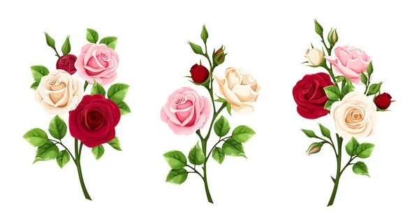 Gül Çiçekleri Beyaz Arkaplanda Kırmızı Pembe Beyaz Gül Dalları Var — Stok Vektör