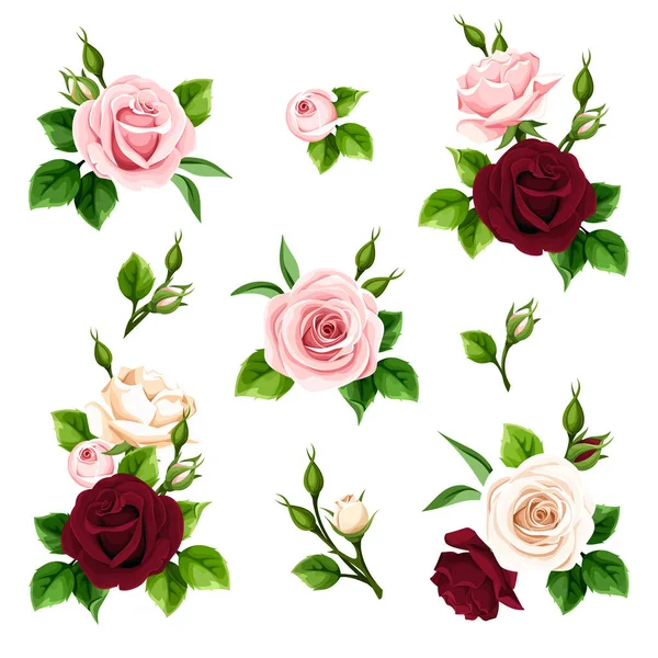 Rosas Rosa Borgoña Rosas Blancas Conjunto Elementos Decorativos Florales Aislados — Vector de stock