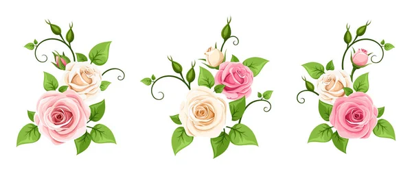 Rózsák Rózsaszín Fehér Rózsa Ágak Elszigetelt Fehér Alapon Vektorillusztrációk Halmaza — Stock Vector