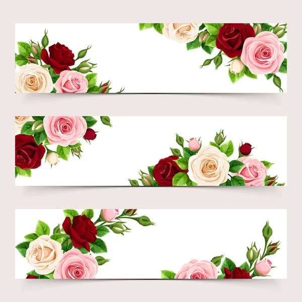 Conjunto Banners Web Con Rosas Rosadas Burdeos Blancas Ilustración Vectorial — Vector de stock