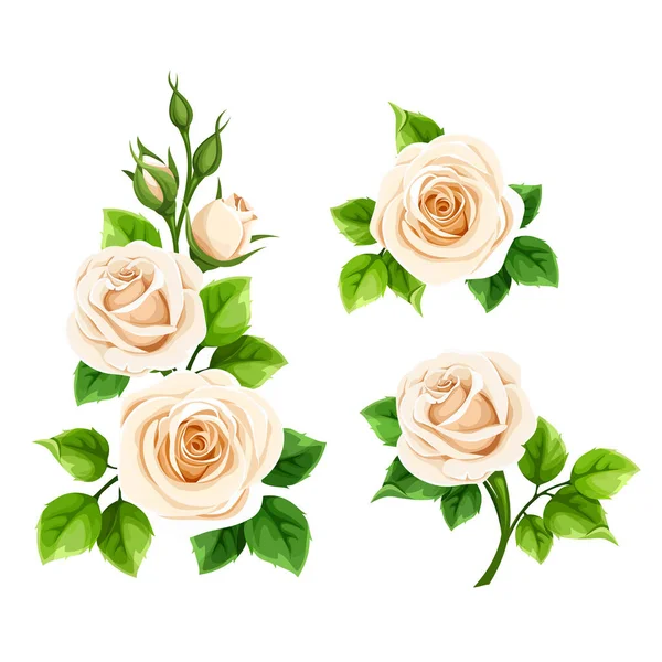 Des Roses Ensemble Fleurs Rose Blanche Isolées Sur Fond Blanc — Image vectorielle