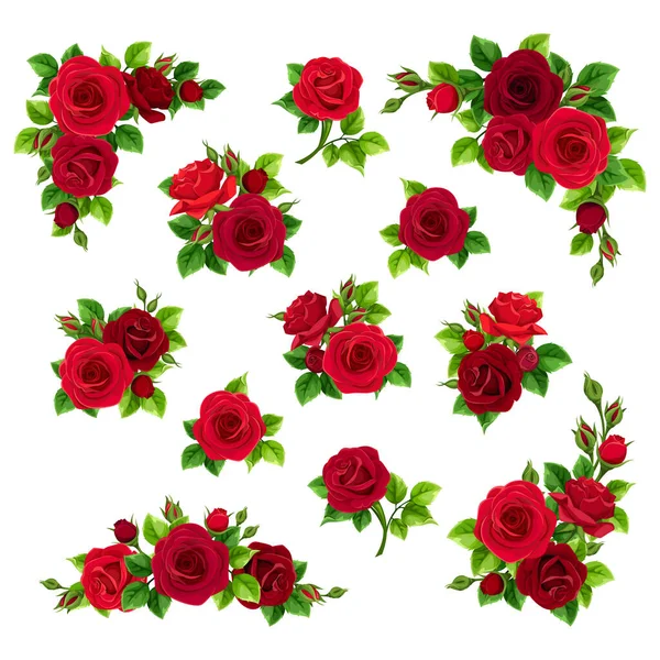 Červené Růže Sada Vektorových Designových Prvků Červenými Květy Růží Izolované — Stockový vektor