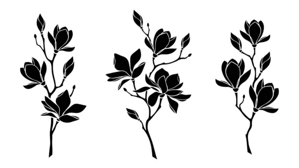 Magnolia Flowers Set Magnolia Branches Vector Black Silhouettes Isolated White — Stock Vector